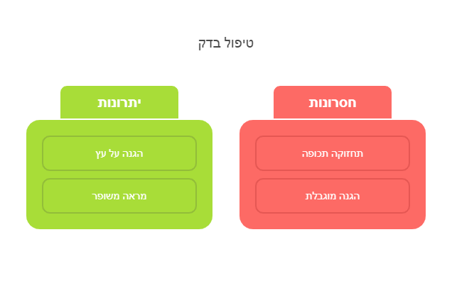 חידוש דק אורן
